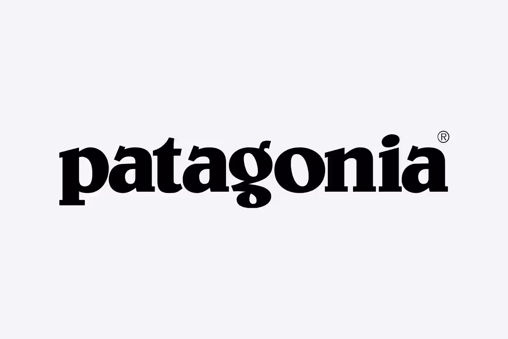 Patagonia Logo Grey